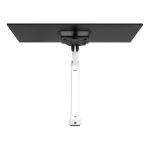 Dataflex Viewprime Plus Monitor Arm - Rail | 65.51 - Image 5